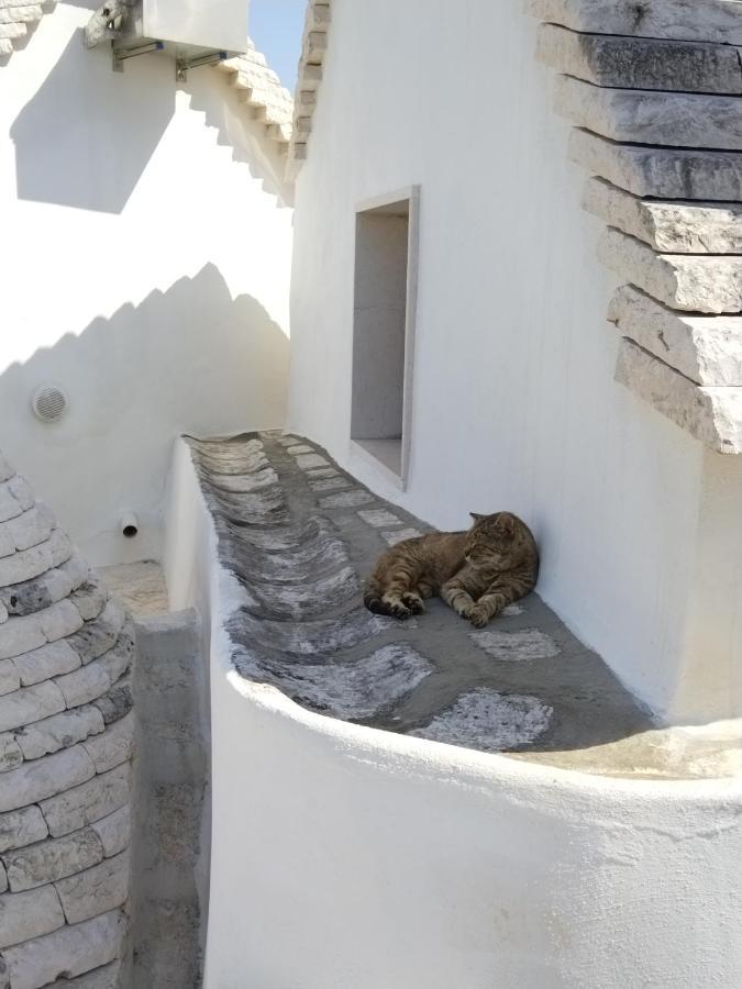 Masseria Catucci Agriturismo Alberobello Zewnętrze zdjęcie